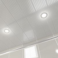 Потолок реечный Cesal B22 Металлик с металлической полосой Standart 100х4000х0,55 мм